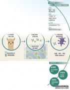 <b>纳米抗体+AI，生物医药新革命（国际科技前沿）</b>