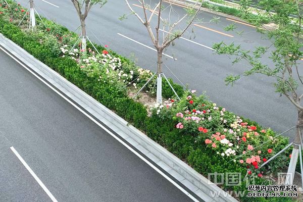 微信图片_20260515125220_副本.jpg